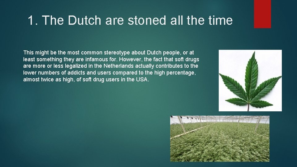 1. The Dutch are stoned all the time This might be the most common