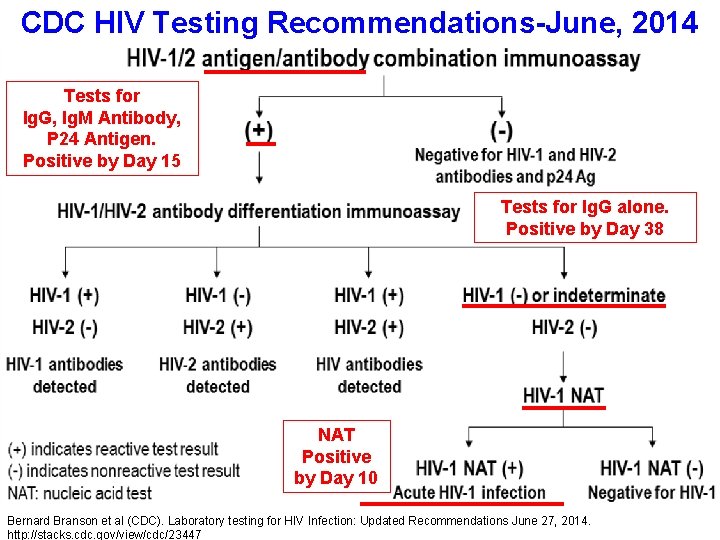 CDC HIV Testing Recommendations-June, 2014 Tests for Ig. G, Ig. M Antibody, P 24