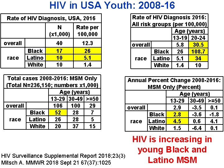 HIV in USA Youth: 2008 -16 Rate of HIV Diagnosis, USA, 2016 overall race