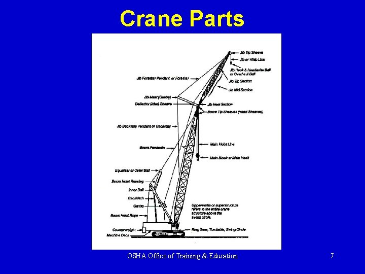 Crane Parts OSHA Office of Training & Education 7 