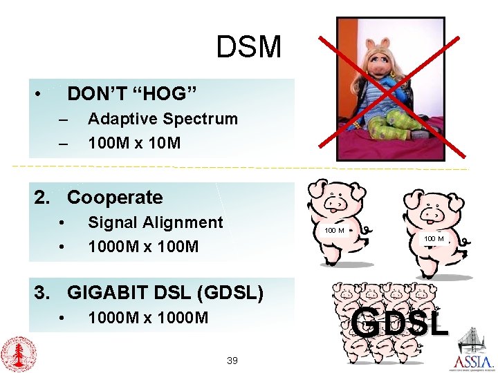 DSM • DON’T “HOG” – – Adaptive Spectrum 100 M x 10 M 2.