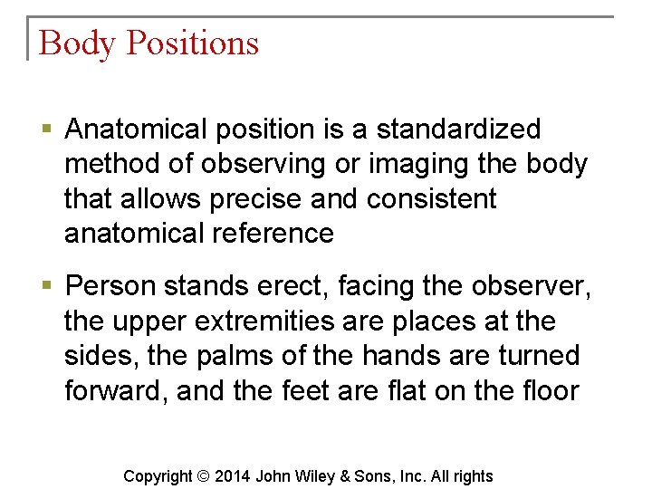 Body Positions § Anatomical position is a standardized method of observing or imaging the