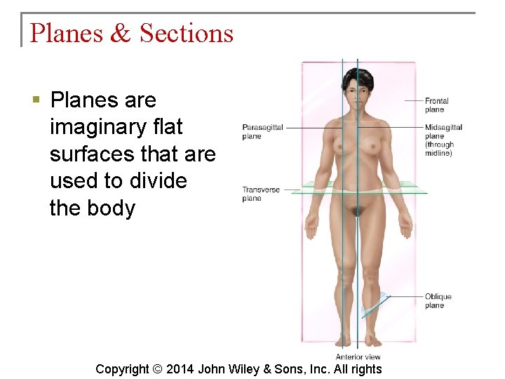 Planes & Sections § Planes are imaginary flat surfaces that are used to divide