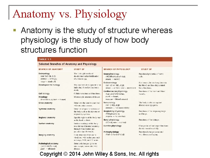 Principles of Anatomy and Physiology 14 th Edition