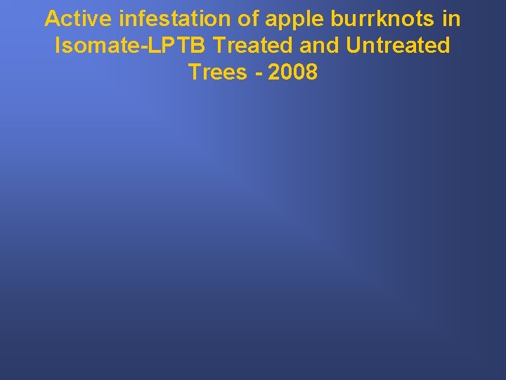 Active infestation of apple burrknots in Isomate-LPTB Treated and Untreated Trees - 2008 