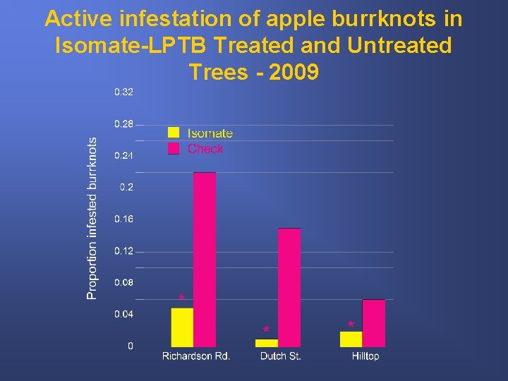 Active infestation of apple burrknots in Isomate-LPTB Treated and Untreated Trees - 2009 