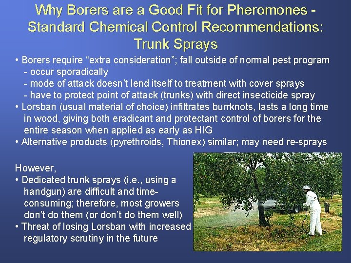 Why Borers are a Good Fit for Pheromones Standard Chemical Control Recommendations: Trunk Sprays