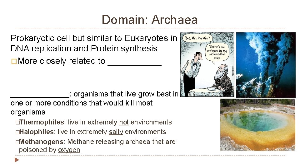 Domain: Archaea Prokaryotic cell but similar to Eukaryotes in DNA replication and Protein synthesis