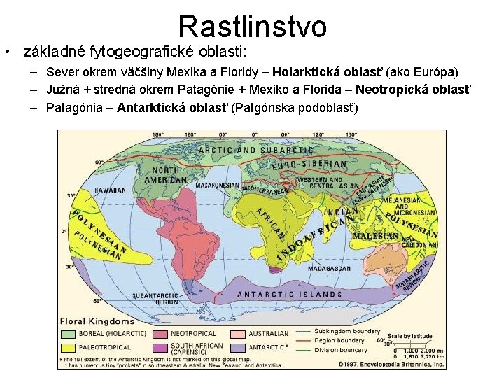 Rastlinstvo • základné fytogeografické oblasti: – Sever okrem väčšiny Mexika a Floridy – Holarktická