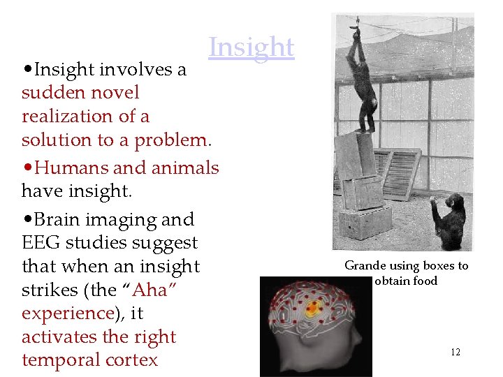 Insight • Insight involves a sudden novel realization of a solution to a problem.