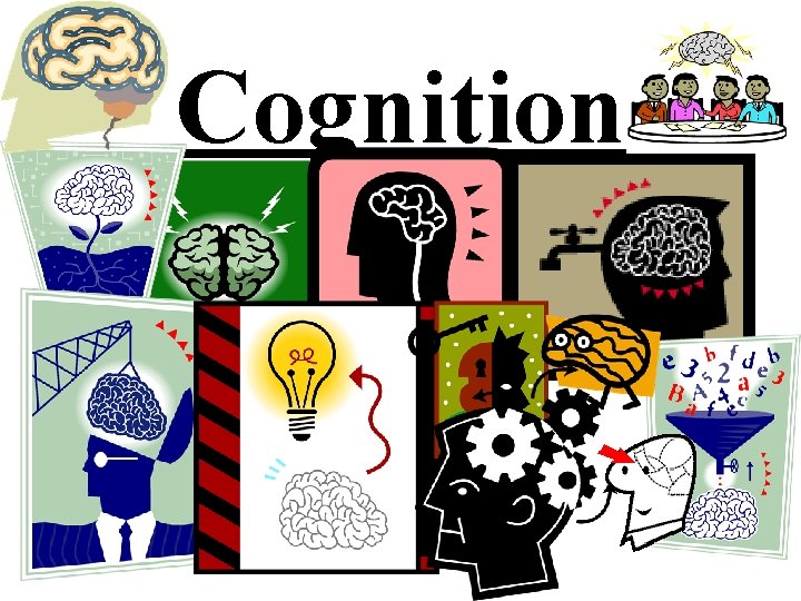 Cognition 