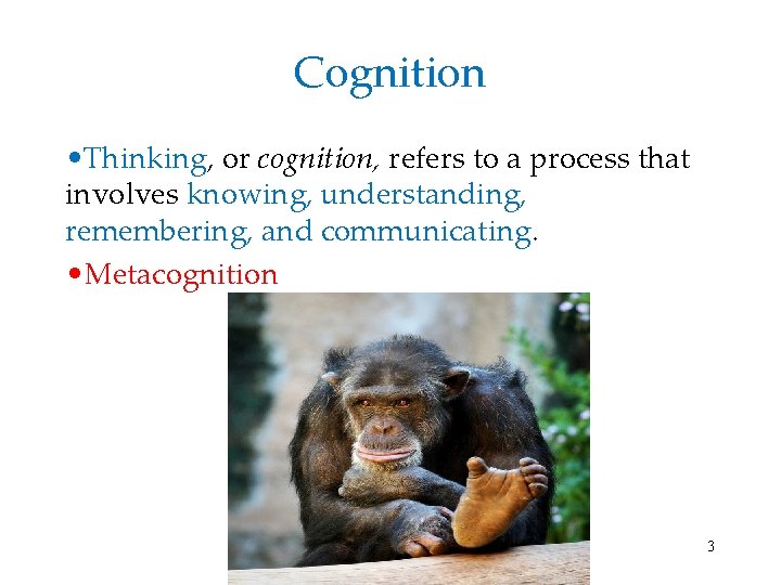 Cognition • Thinking, or cognition, refers to a process that involves knowing, understanding, remembering,