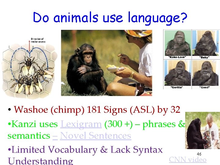 Do animals use language? • Washoe (chimp) 181 Signs (ASL) by 32 • Kanzi
