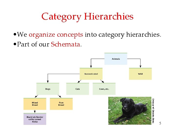 Category Hierarchies • We organize concepts into category hierarchies. • Part of our Schemata.