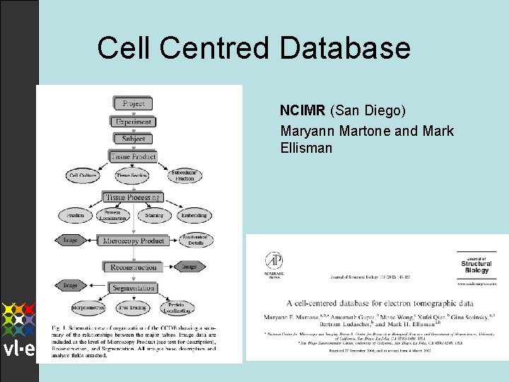 Cell Centred Database NCIMR (San Diego) l Maryann Martone and Mark Ellisman l 