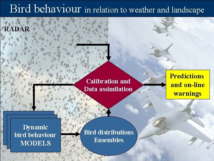 Bird behaviour in relation to weather and landscape RADAR Calibration and Data assimilation Dynamic