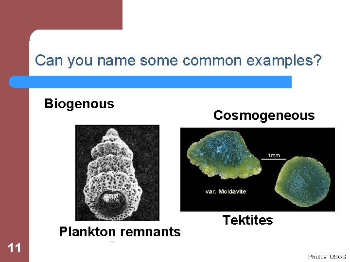 Can you name some common examples? Biogenous 11 Plankton ? remnants Cosmogeneous Tektites ?