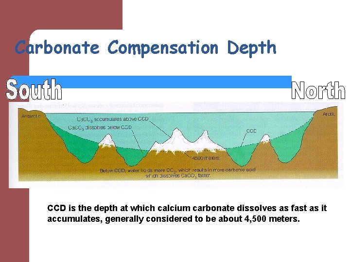 Carbonate Compensation Depth CCD is the depth at which calcium carbonate dissolves as fast