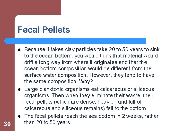 Fecal Pellets l l l 30 Because it takes clay particles take 20 to