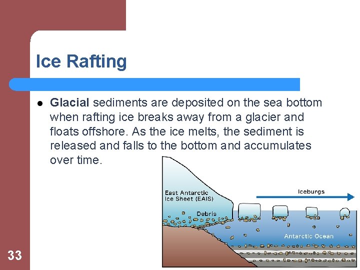 Ice Rafting l 33 Glacial sediments are deposited on the sea bottom when rafting