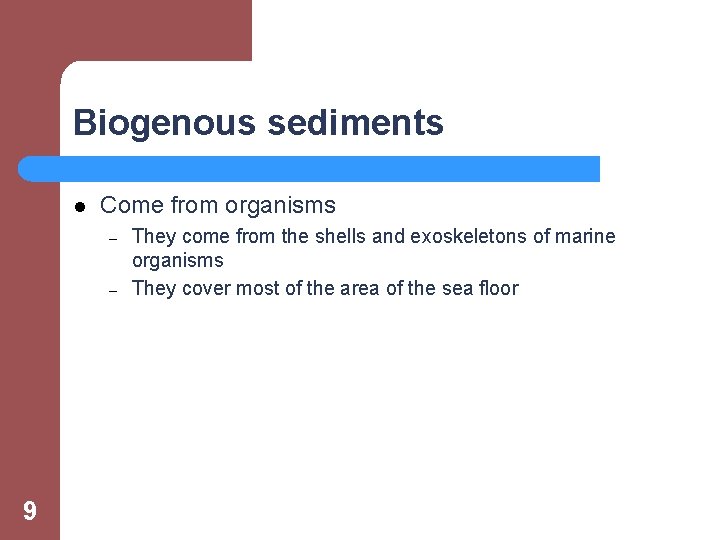 Biogenous sediments l Come from organisms – – 9 They come from the shells