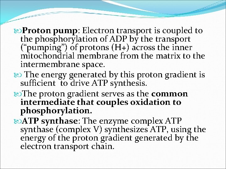  Proton pump: Electron transport is coupled to the phosphorylation of ADP by the