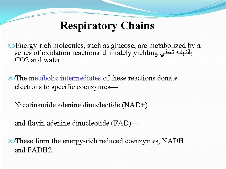 Respiratory Chains Energy-rich molecules, such as glucose, are metabolized by a series of oxidation