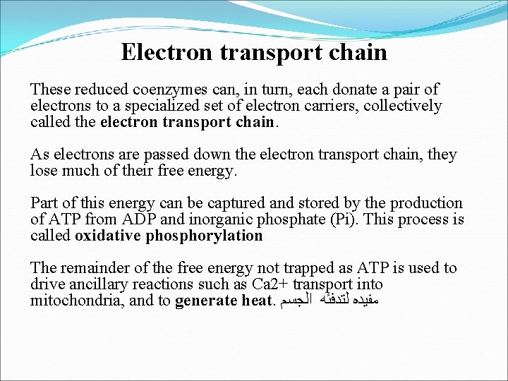 Electron transport chain These reduced coenzymes can, in turn, each donate a pair of
