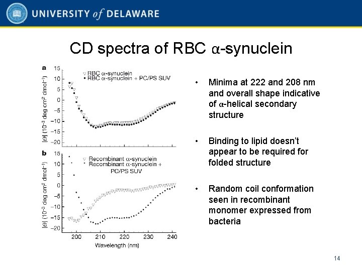 CD spectra of RBC α-synuclein • Minima at 222 and 208 nm and overall