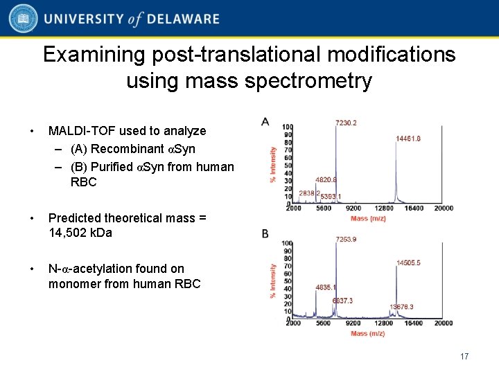 Examining post-translational modifications using mass spectrometry • MALDI-TOF used to analyze – (A) Recombinant