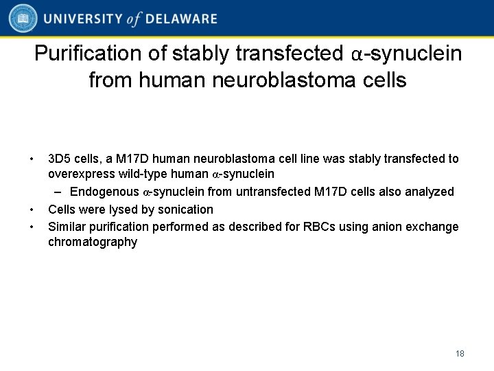 Purification of stably transfected α-synuclein from human neuroblastoma cells • • • 3 D