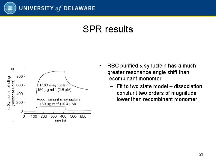 SPR results • RBC purified α-synuclein has a much greater resonance angle shift than