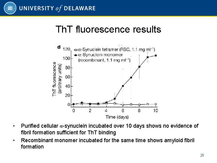 Th. T fluorescence results • • Purified cellular α-synuclein incubated over 10 days shows