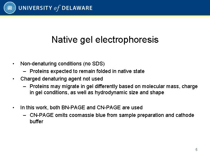 Native gel electrophoresis • • • Non-denaturing conditions (no SDS) – Proteins expected to