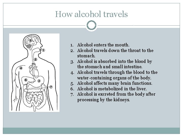 How alcohol travels 1. Alcohol enters the mouth. 2. Alcohol travels down the throat