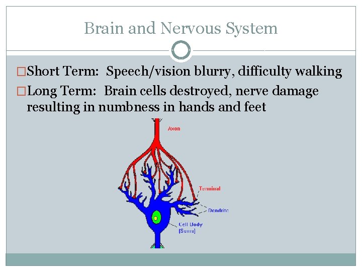 Brain and Nervous System �Short Term: Speech/vision blurry, difficulty walking �Long Term: Brain cells