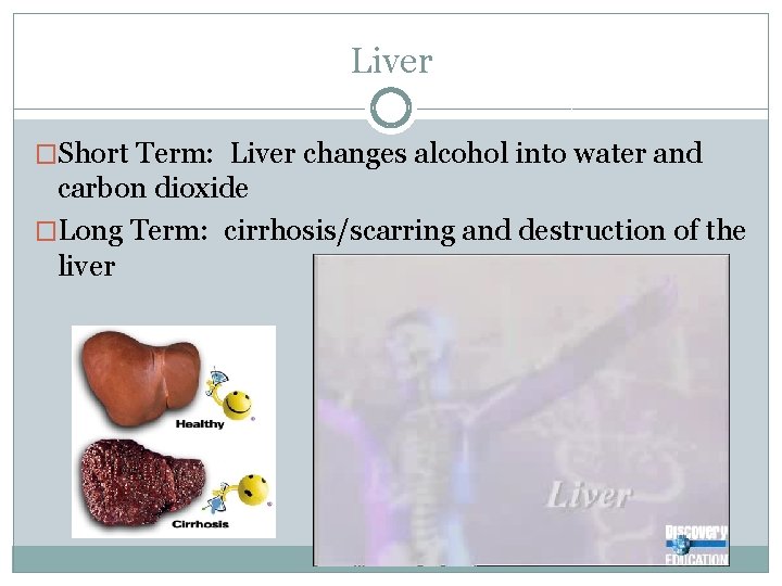 Liver �Short Term: Liver changes alcohol into water and carbon dioxide �Long Term: cirrhosis/scarring