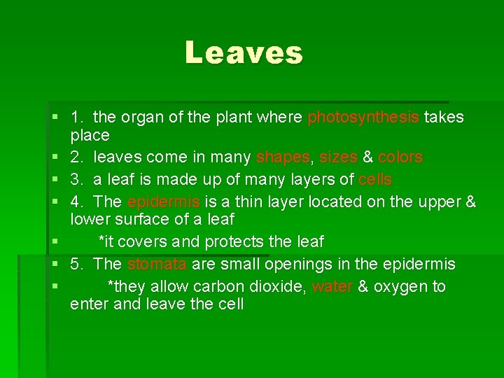 Leaves § 1. the organ of the plant where photosynthesis takes place § 2. Leaves § 1. the organ of the plant where photosynthesis takes place § 2.