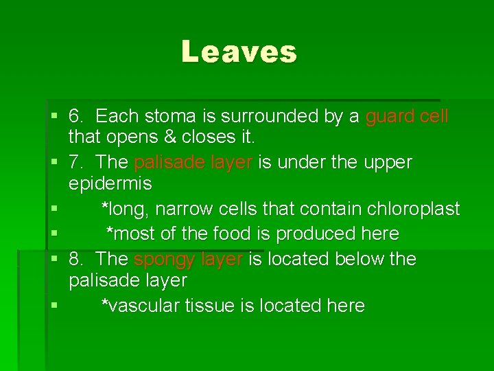 Leaves § 6. Each stoma is surrounded by a guard cell that opens & Leaves § 6. Each stoma is surrounded by a guard cell that opens &