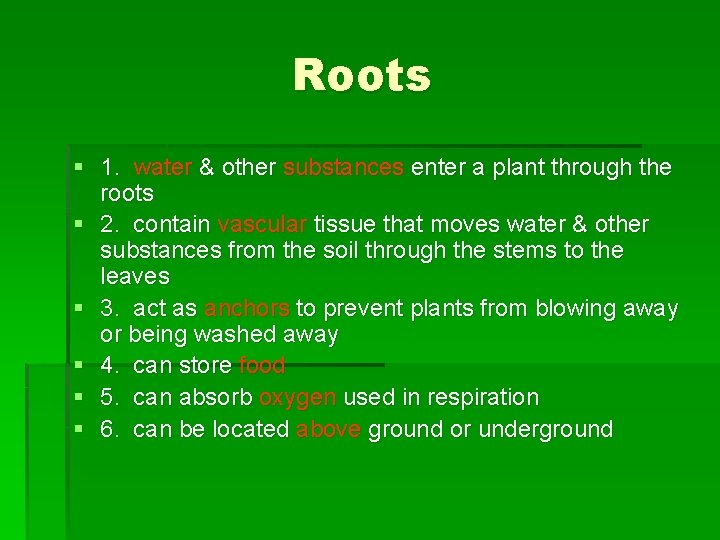 Roots § 1. water & other substances enter a plant through the roots § Roots § 1. water & other substances enter a plant through the roots §