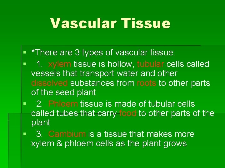 Vascular Tissue § *There are 3 types of vascular tissue: § 1. xylem tissue Vascular Tissue § *There are 3 types of vascular tissue: § 1. xylem tissue