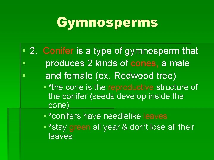 Gymnosperms § 2. Conifer is a type of gymnosperm that § produces 2 kinds Gymnosperms § 2. Conifer is a type of gymnosperm that § produces 2 kinds