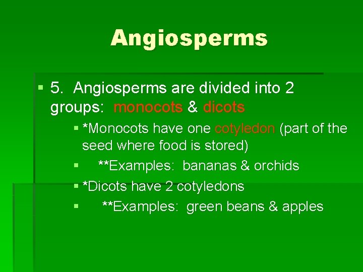 Angiosperms § 5. Angiosperms are divided into 2 groups: monocots & dicots § *Monocots Angiosperms § 5. Angiosperms are divided into 2 groups: monocots & dicots § *Monocots