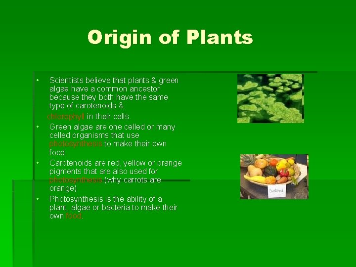 Origin of Plants • Scientists believe that plants & green algae have a common Origin of Plants • Scientists believe that plants & green algae have a common