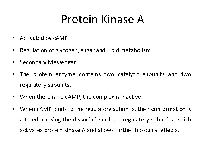 Protein Kinase A • Activated by c. AMP • Regulation of glycogen, sugar and