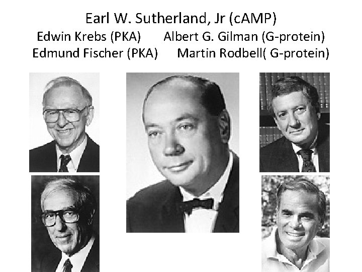 Earl W. Sutherland, Jr (c. AMP) Edwin Krebs (PKA) Albert G. Gilman (G-protein) Edmund