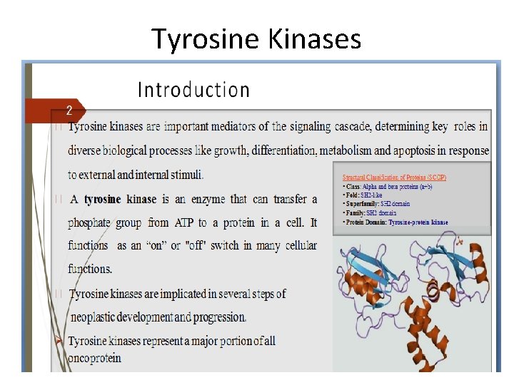 Tyrosine Kinases 