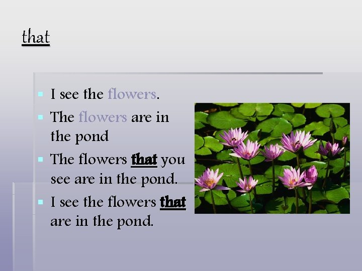 that § I see the flowers. § The flowers are in the pond §