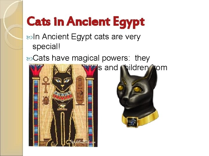 Cats in Ancient Egypt In Ancient Egypt cats are very special! Cats have magical