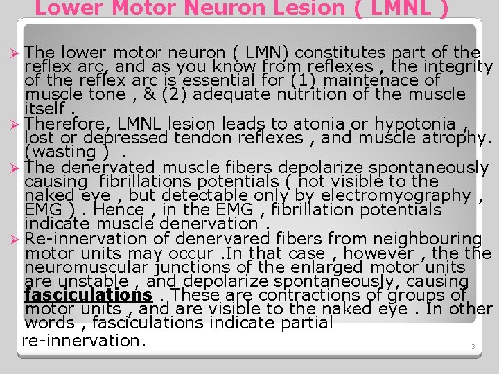 Lower Motor Neuron Lesion ( LMNL ) Ø The lower motor neuron ( LMN)